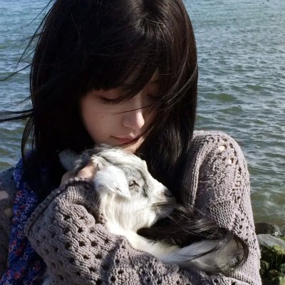 狗岛的宝藏